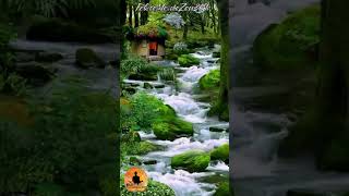 Musica Rilassante 🌿✨ migliora il tuo Benessere 🌌  Relax e Serenità 🌸🎶 Frequenze Benefiche C230 [upl. by Ninazan760]