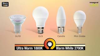 Integral LED WarmTone Lamps [upl. by Aidnac]