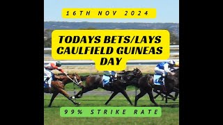 Caulfield Guineas Day  Betting Tips  16112024  99 Strike Rate [upl. by Marva]