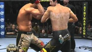 Forrest Griffin vs Stephan Bonnar UFC 2010 Expert [upl. by Notsirt]