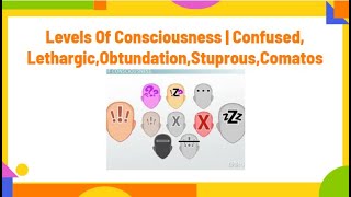 levels of consciousness  confusedlethargicobduntationstuprouscomatosPhysiotherapyKnowledge [upl. by Nosmirc121]