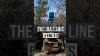 The Blue Line 5 Facts [upl. by Auod659]