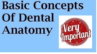 BASIC CONCEPTS OF DENTAL ANATOMY [upl. by Solahcin]