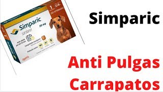 Simparic Bula  Controle Eficaz de Parasitas  Veja o Review [upl. by Kirby]