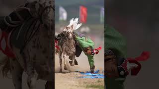 mongolia sports rodeo ncha [upl. by Adniram640]