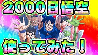 【ドッカンバトル】LR2000日悟空を使ってみた！【Dragon Ball Z Dokkan Battle】 [upl. by Tdnarb]