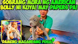 PANALO KA SA OFFER NI JR MAKAKA CHAMBA KA NG MURA SA MGA TABI TABI GROTTO PET MARKET UPDATE [upl. by Aynav998]