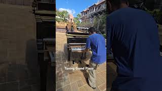 Tuning grand piano grandpiano music musica [upl. by Bailie]