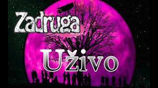 zadruga 5 uzivo [upl. by Aibar]