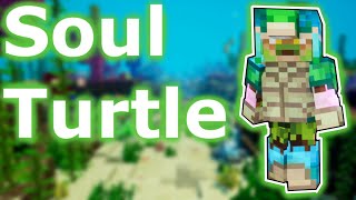 Build Showcase  Soul Turtle Soul Fist  Melee Build [upl. by Oelgnaed]