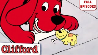 Goodbye TBone The Truth About Cats and Dogs  More  Full Episodes  Clifford the Big Red Dog [upl. by Ronacin]