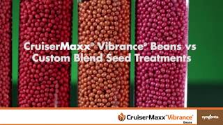 CruiserMaxx Vibrance Beans Vs Custom Blend Seed Treatments [upl. by Mallissa]