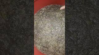 Nitrogen microbe brews microbes organic composting farming gardening [upl. by Admana]