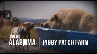 Piggy Patch Farm  This is Alabama [upl. by Sup]