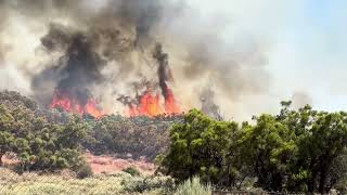 Nixon Fire in Aguanga CA 72924 [upl. by Ramled]