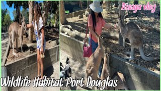 Visiting Wildlife Habitat Port Douglas Queensland Australia Cheche Lañojan [upl. by Eilyac]