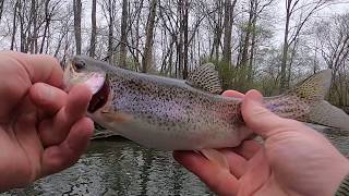 Veterans Park Creek Fishing [upl. by Lilith]