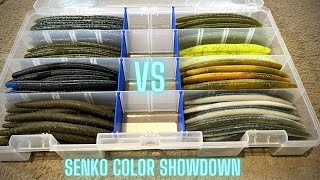 The ONLY Senko Colors You Need And Why [upl. by Akihsar]