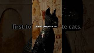 Cats in Ancient Egypt epichistory ancientcivilization facts history egypt egyptian cat cats [upl. by Welcy]