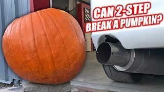 PUMPKIN vs 1000hp SUPRA [upl. by Anwahsat]