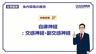 【生物基礎】 体内環境の維持37 自律神経：交感神経・副交感神経 （１８分） [upl. by Anelle]