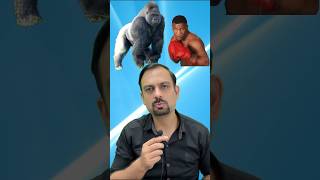 When Mike Tyson challenged a Gorilla shorts [upl. by Janek369]