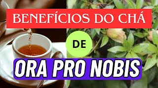 Benefícios do Chá de Ora Pro Nobis Para Que Serve o Chá de Ora Pro Nobis [upl. by Sanbo]