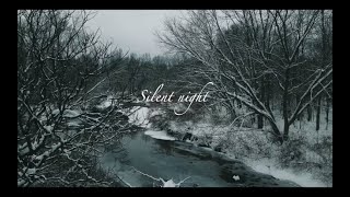 Silent Night  Taryn Harbridge [upl. by Tisha200]