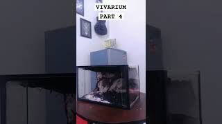 VIVARIUM  how to build a cave waterfall  Part 4 [upl. by Omrellug]