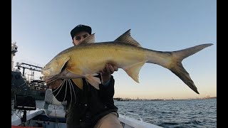 HOW TO Catch Threadfin Salmon In The Brisbane River On Lures [upl. by Pyne845]