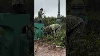 VOLUNTEER clearing of invasive weeds in public parks  part 3 [upl. by Atikim]