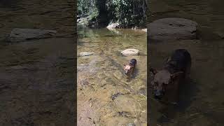 Charco azul ✨🤠😎 punto recreativo niñoss [upl. by Gomer634]