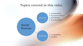 Social processesSociology of Education [upl. by Constance]