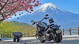 Harley Davidson Fat Boy Ride YAMANASHI fruit line Misaka Pass [upl. by Blatman287]