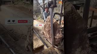 Very Nice Wood Cutting Skills youtubeshorts youtubeshortsvideo [upl. by Ahseekat]