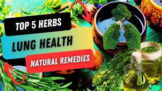 Top 5 Herbs for Lung Health Your COPD Lifesaver [upl. by Gilmour408]