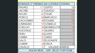 ESTATISTICAS DO GRUPOS DO 1°2°3°4° 5° PREMIO DA LOTERIA FEDERAL [upl. by Addia487]