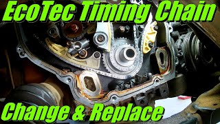 Chevrolet Equinox Timing Chain Replacement amp Overview Ecotec 20 22 24 VVT [upl. by Ezekiel]