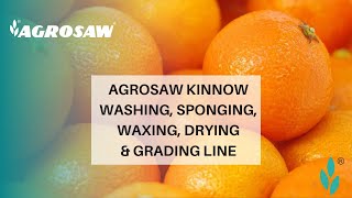 AGROSAW Kinnow WashingSpongingWaxingDrying amp Grading Line [upl. by Weathers]