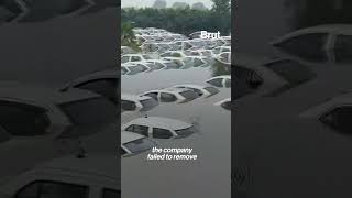 350 cars of Ola were found submerged in floodwater near the swollen Hindon River in Greater Noida [upl. by Latimer630]