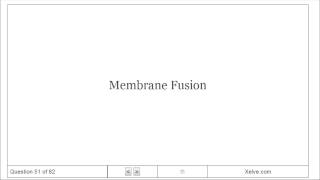 Biochemistry  11 Biological Membranes and Transport  Flashcards [upl. by Kamat]