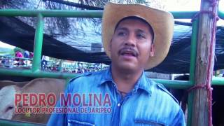 JARIPEO A LAS 9 DE LA MAÑANA EN TEJALPA PUEBLA quotLOS TOROS DIVINOSquot [upl. by Riegel]