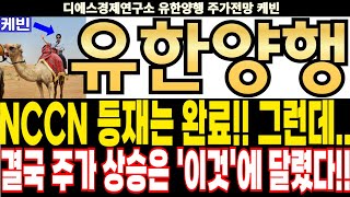 유한양행 주가전망 NCCN 등재는 완료 그런데 결국 주가 상승은 이것에 달렸다 feat디에스경제연구소 케빈 [upl. by Ettesil274]