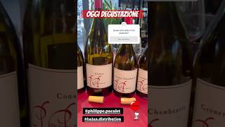 DEGUSTAZIONE ICONICA megliodibere wine borgogna degustazioni degustazione sommelier pommard [upl. by Klarrisa]