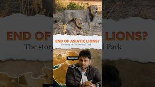 🤔Why Asiatic Lions 🦁live only in Gujarat 🤔 Gir National Park [upl. by Samal]