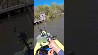 Kayak fishing in Georgia ❗️ kayakfishing fishing largemouthbass viralshorts fy [upl. by Llerdnod362]