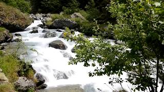 BELLE RIVIÈRE EN FORÊT pour se Détendre Étudier ou Dormir Paisiblement – Puissant Déstressant [upl. by Nyleuqcaj855]