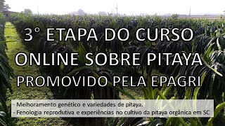 3° Etapa do Curso Sobre a Cultura da Pitaya  Epagri [upl. by Yraillih]