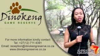 Dinokeng Game Reserve  Business Card  Africa 7 [upl. by Lagasse]