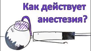 Как действует анестезия Что такое наркоз [upl. by Assert]